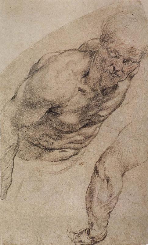 Peter Paul Rubens Portrait of naked man China oil painting art